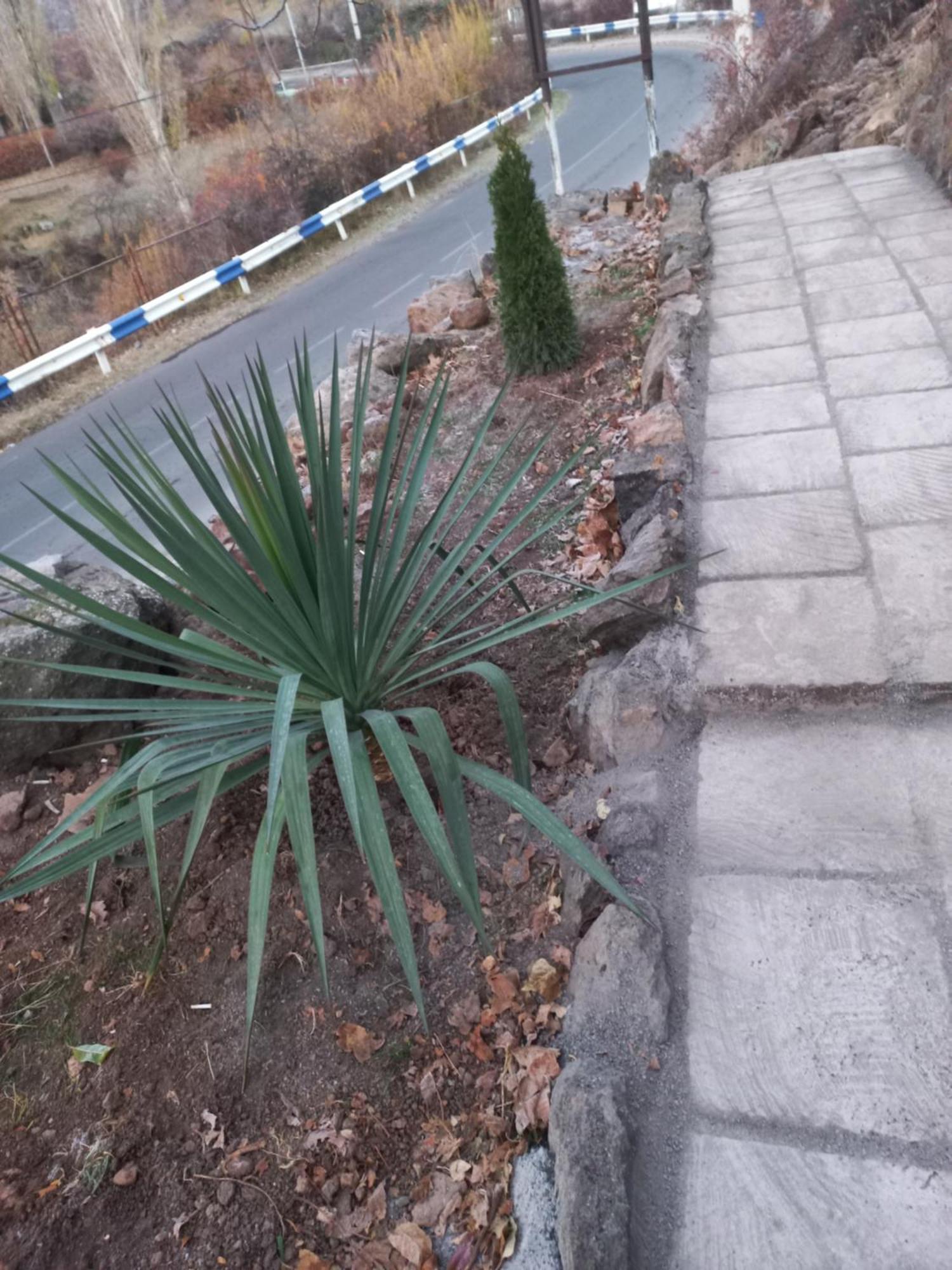 Green World Byurakan Dış mekan fotoğraf